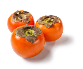 Diospyros kaki, Persimmon, Cachi, Loti