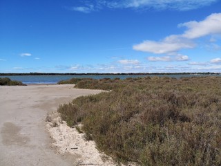 Lac du Ponant, la grande motte, hérault, france