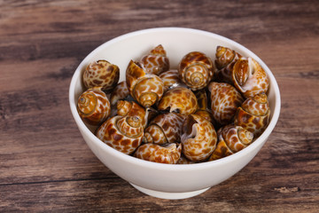 Tasty mollusk - spotted Babylon in the bowl