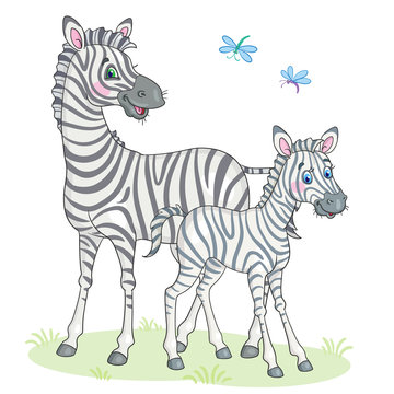 Family of Zebras. Mom and her baby. In cartoon style. Isolated on white background. Vector illustration.