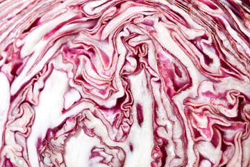 Radicchio from Italy, Isolated on White Background – Local Cultivar "Radicchio di Chioggia" Purple Chicory Fresh Leaves, Traditional Italian Food Ingredient – Macro Detail Photo, Cut Open, Sliced