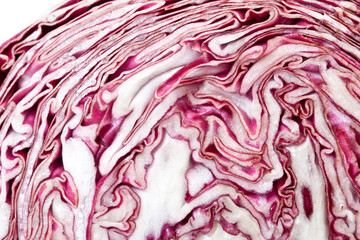 Obraz premium Radicchio from Italy, Isolated on White Background – Local Cultivar 