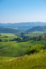 Obraz premium Typical Tuscany landscape with hills, green trees and houses, Italy.