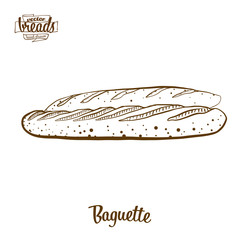 Baguette bread vector drawing