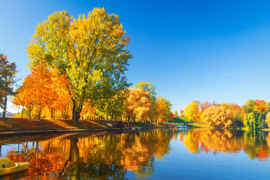 Autumn park nature. Colorful trees and lake in park. Fall scene. Beautiful clear autumn day