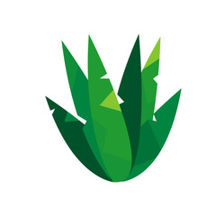 Hurca vector plants collection