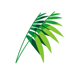 Hurca vector plants collection