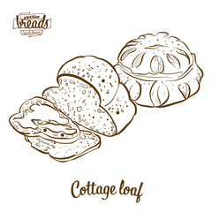 Cottage loaf bread vector drawing