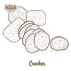 Cracker bread vector drawing