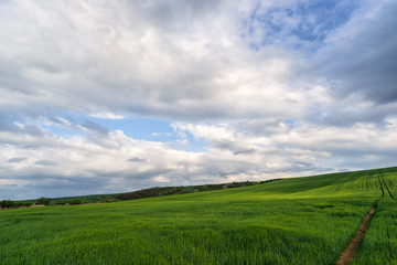 Fototapeta na wymiar Scenic view of beautiful country landscape. Clouds passing above rural fields in South Moravia, Czech Republic.