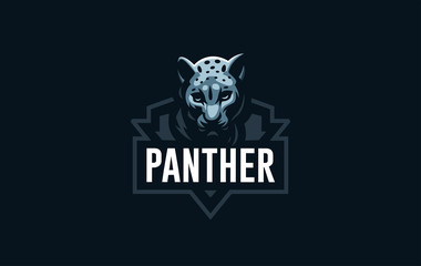 The image of a cheetah.