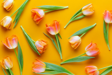 Yellow pastels color tulips on the yellow background. Retro vintage style.