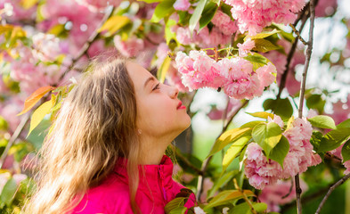 Fototapeta premium small girl in spring flower bloom. happy girl in cherry flower. Sakura tree blooming. summer holiday. Childhood beauty. skincare spa. Natural cosmetics for skin. blossom smell, allergy. Spring