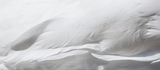 Sierkussen Beautiful white feather texture background. White swan plumage. © Natalia Timchenko