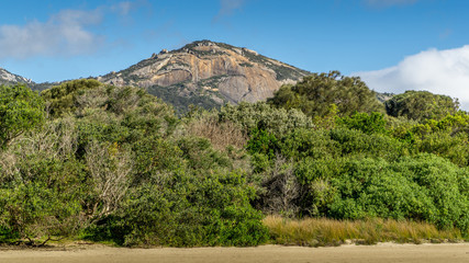 Blick auf einen Berg mit Bäumen und Strand im Vordergrund im Wilsons Promontary National Park in Victoria Australien
