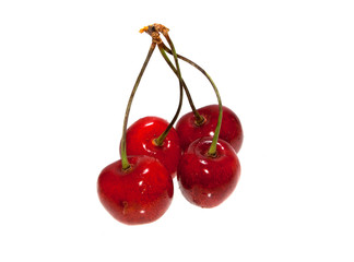cherry isolated on white background