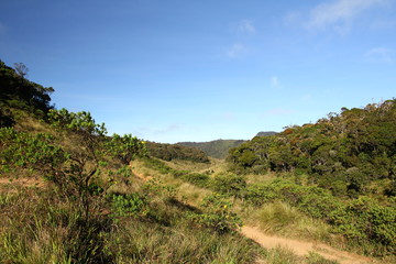 Fototapeta na wymiar Sri Lanka - Horton Plains National Park