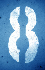 Number 8 in stencil on grungy metal wall in navy blue tone.