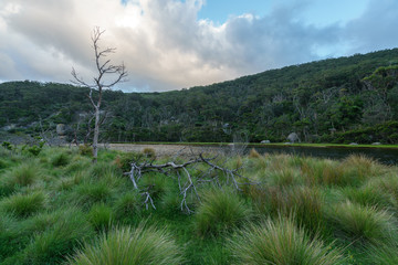 Sonnenaufgang am Tidal River im Wilsons Promontory National Park in Victoria Australien