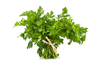 Parsley – Bunch of Parsley Tied, Roped, with String, Detail on Green Leaves – Close Up Macro – Isolated on White Background