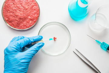 Laboratory studies of meat. Minced meat in Petri dish under the supervision of a scientist in gloves. View from above.