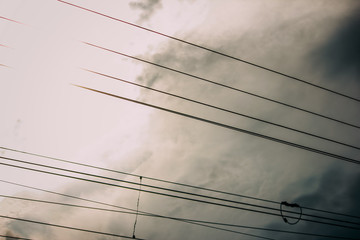 Monochrome photo. Many wires of a transmission line against the sky.