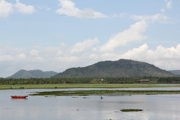 Sri Lanka - Yala National par - landscape view