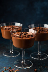 delicious chocolate Panna Cotta dessert