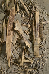 Wooden letter N