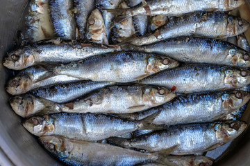 Obraz premium Salted sea fish at street market in Ubud, Bali, Indonesia. Seafood concept. Raw fish for cooking, closeup