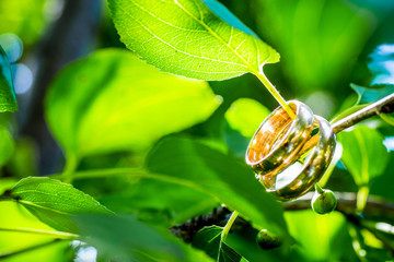 Close up wedding rings