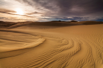 Beautiful views of the desert landscape. Gobi Desert. Mongolia.