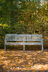 Long white chair in front of forest in autumn