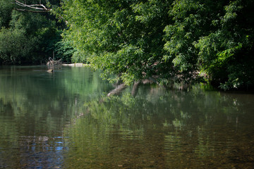 Naturflusslandschaft Pielach