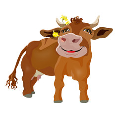 Funny cow