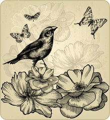 Background with blooming roses, birds and flying butterflies. Vector. - 274230745