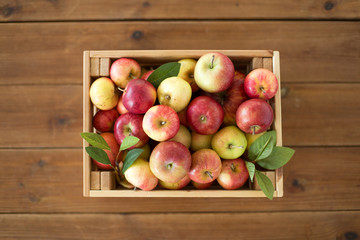 fruits, food and harvest concept - ripe apples in wooden box on table