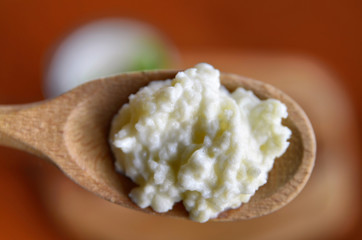 Close-up shot of a wooden spoon full of Kefir granules