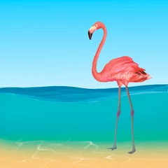 Fotobehang Pink flamingo in the sea © Елена Свигачева