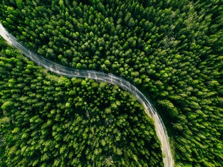 Aerial view of green forest road. Curved road from above. © NBLX