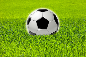 Fototapeta premium Fußball_auf_Gras