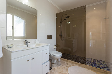 Stylish bath shower rooms in contemporary decor.