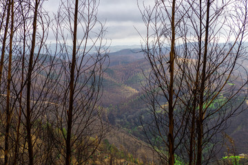 State of forests and valleys after the disaster and fires in Monchique. Portugal.