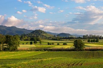 Fototapeta premium Staufen_Rheinebene_0766
