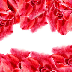  invitation frame set; flowers rose
