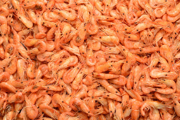 Tasty fresh shrimps as background.