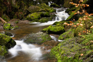 Schwarzwald Blackforest Ravennaschlucht