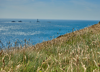 Fototapeta na wymiar Long grass on the coastline with the sea in the background.