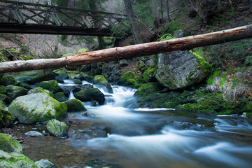 Schwarzwald Blackforest Ravennaschlucht