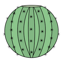exotic cactus plant natural icon
